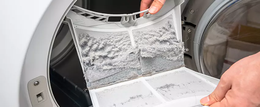 Best Dryer Lint Removal Company in La Ca, California
