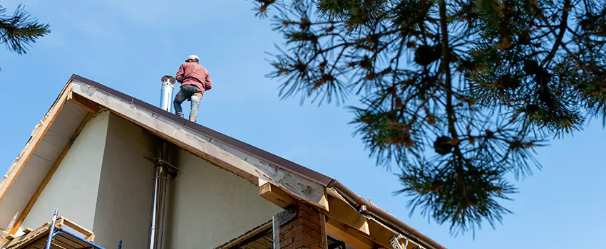 Birds Removal Contractors from Chimney in La Ca, CA